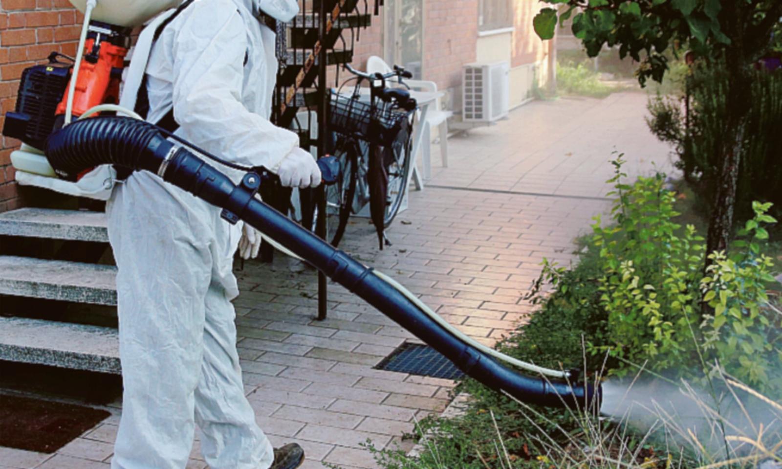 Stanotte disinfestazione: tenere le finestre chiuse