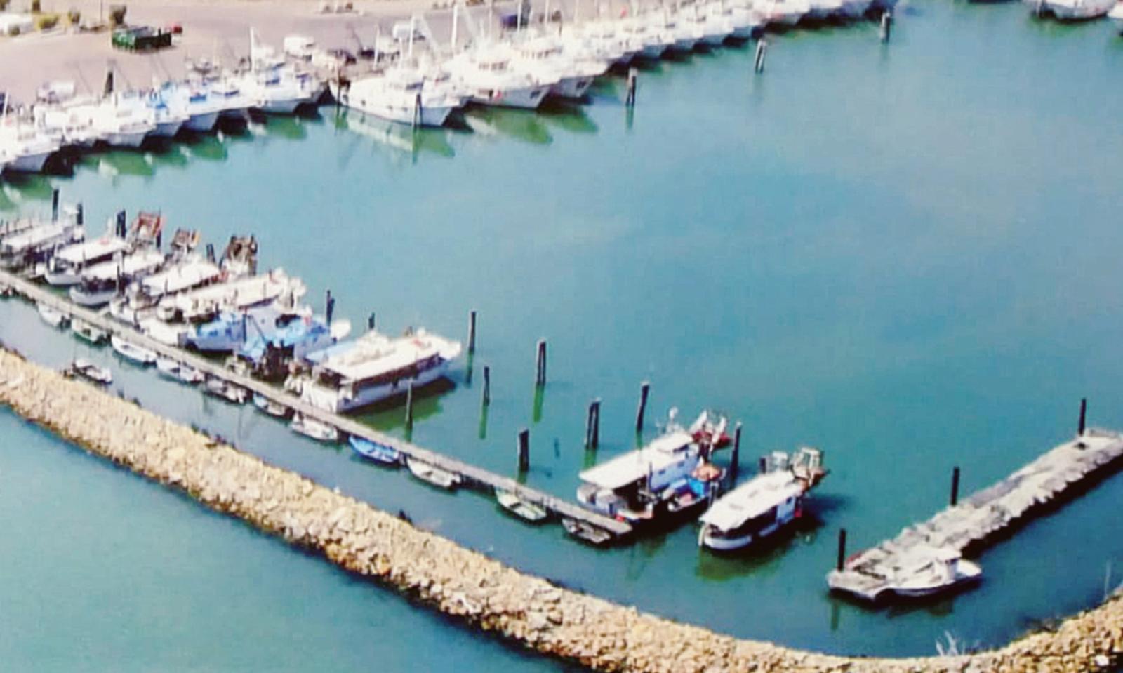 Pila resta primo mercato ittico