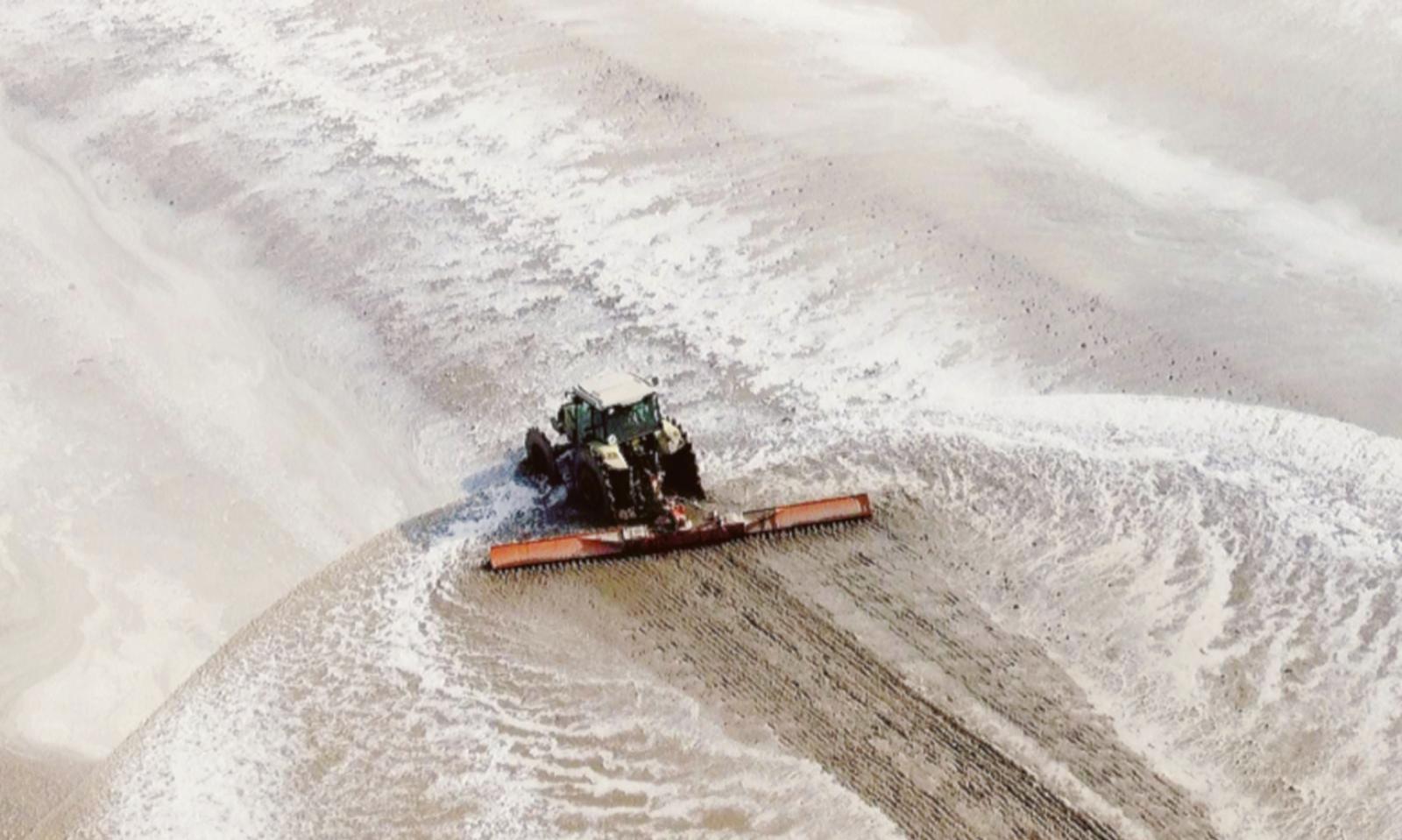 Tornano le risaie nel Delta del Po