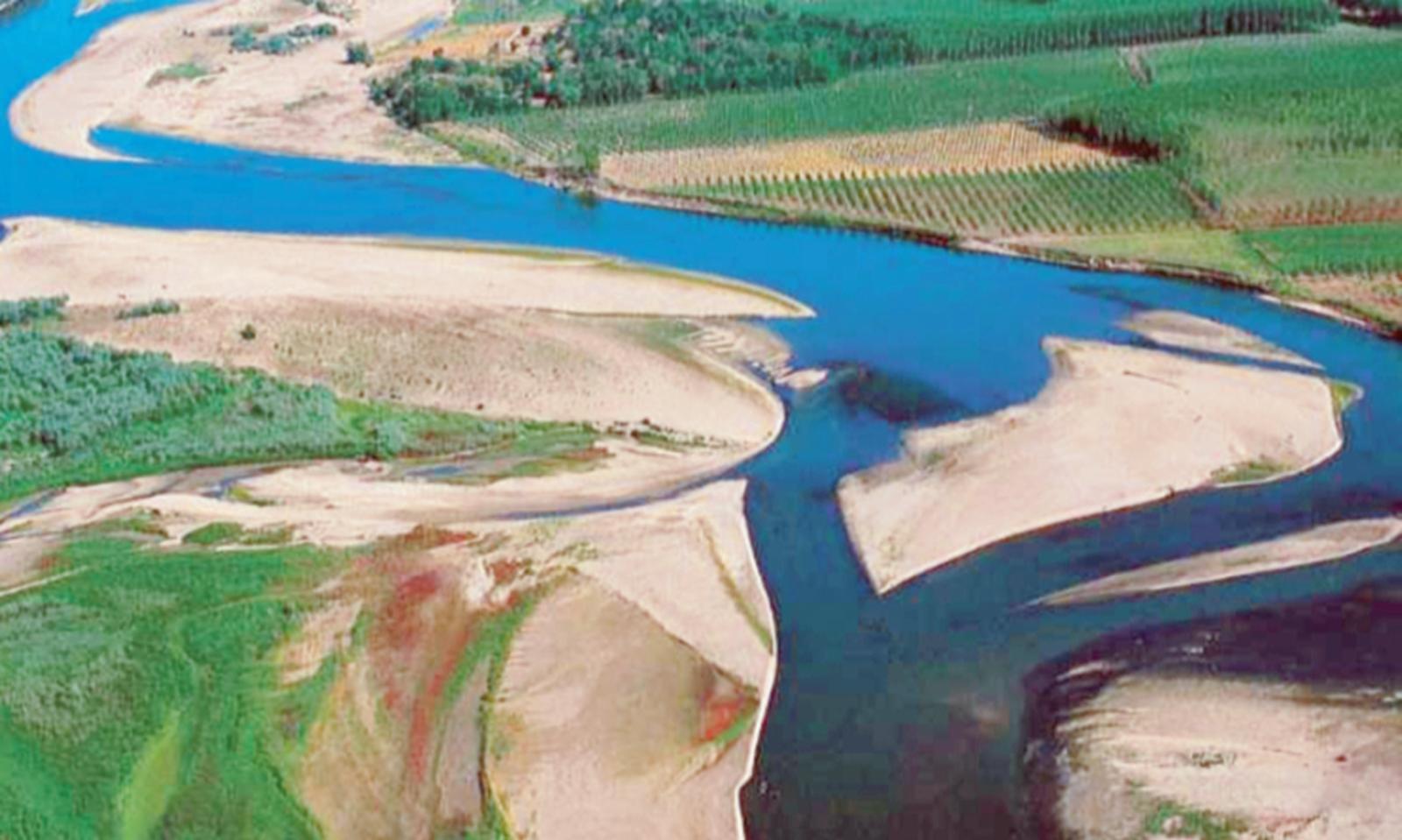 Strategie contro il cuneo salino