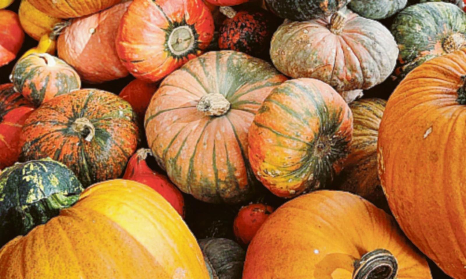 Riscoprire i &ldquo;Sapori d&rsquo;autunno&rdquo;