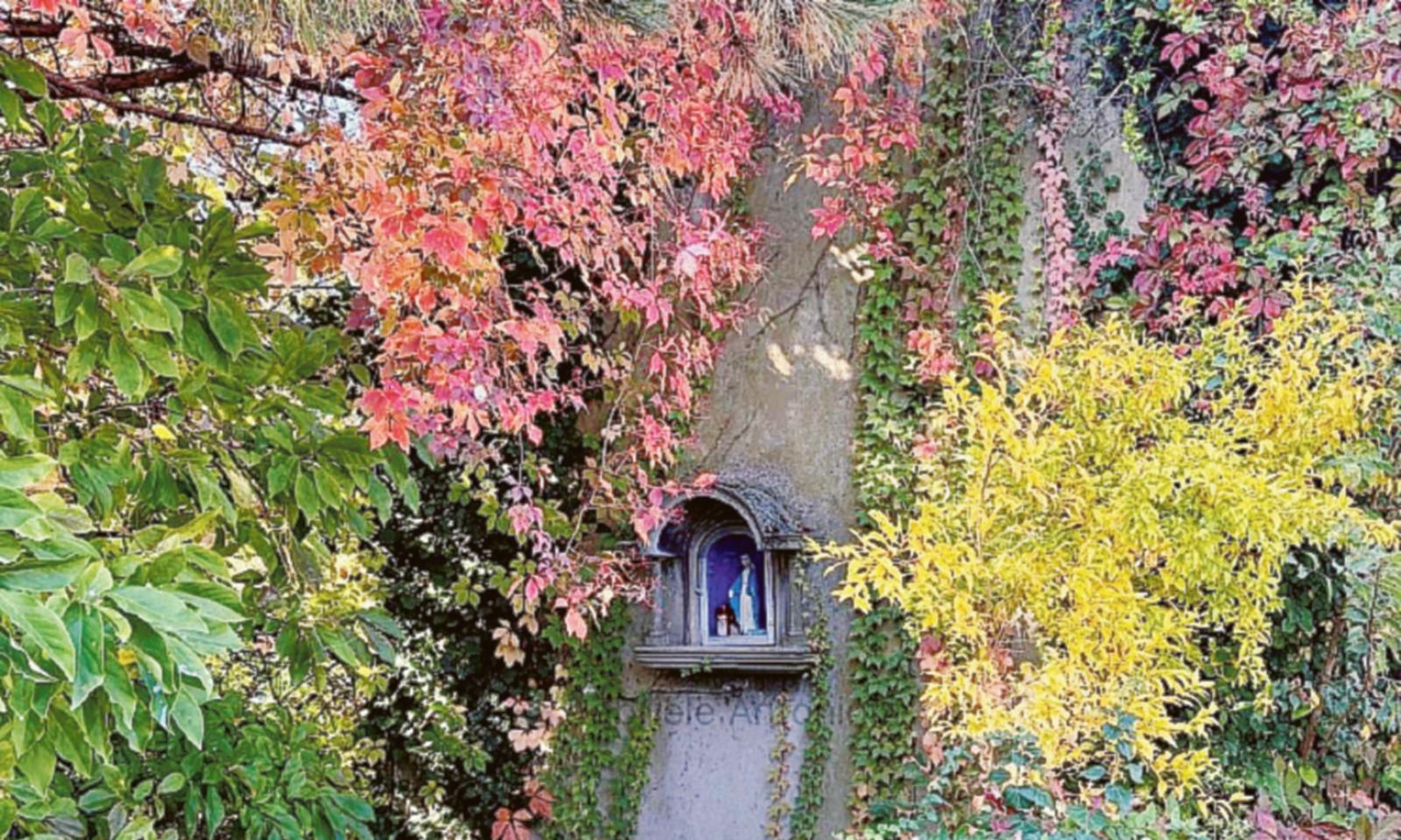 Si &egrave; rinnovata la solennit&agrave; della Vergine 