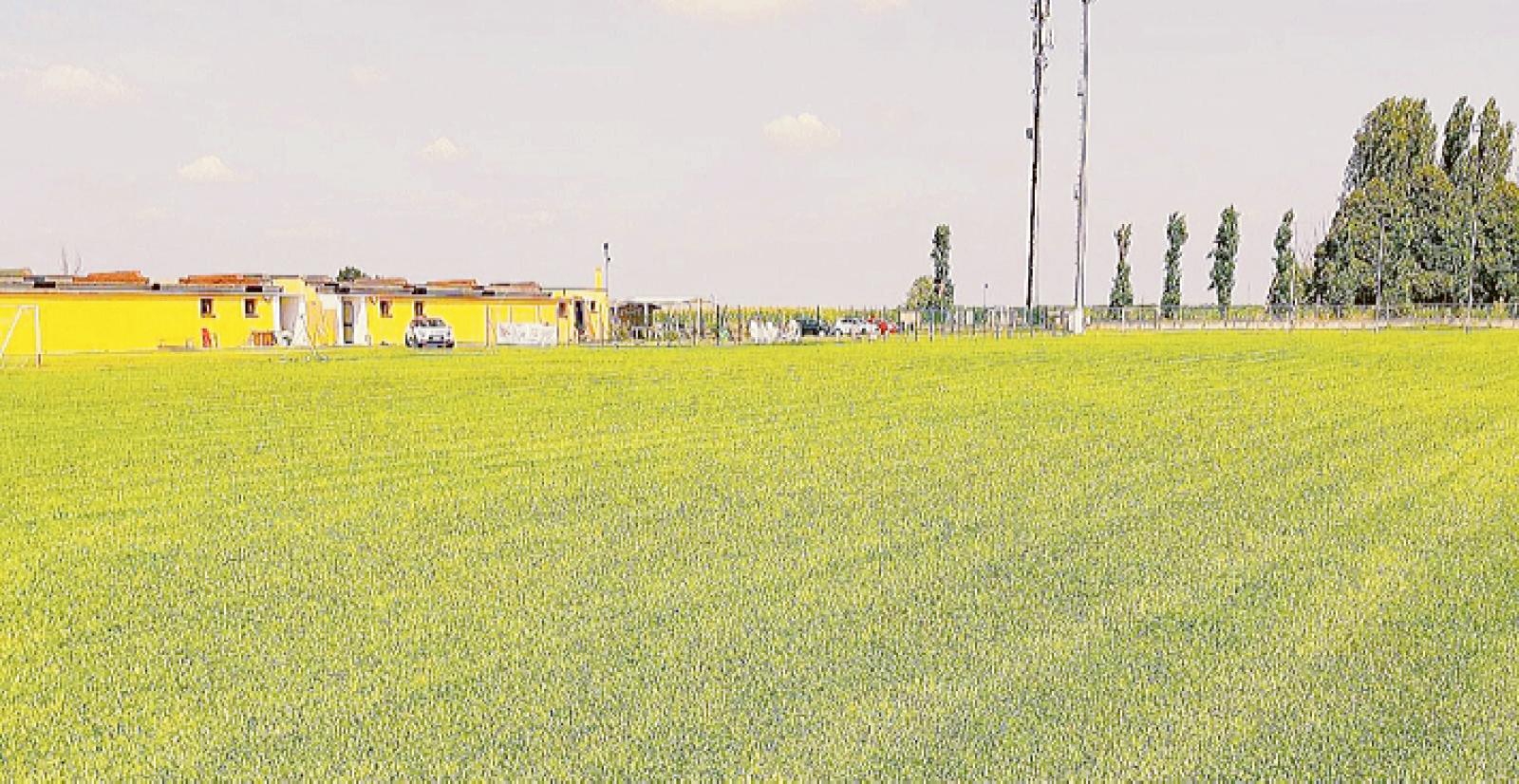 Arriva una nuova luce per il campo sportivo