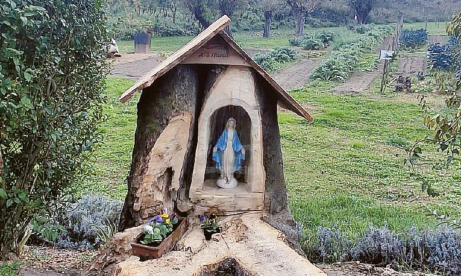 Da albero a nuova &ldquo;casa&rdquo;