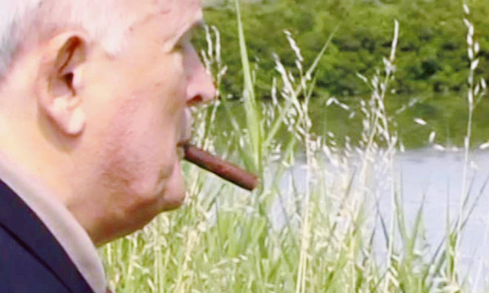 &ldquo;L&rsquo;esistenza errante di Cibotto&rdquo;