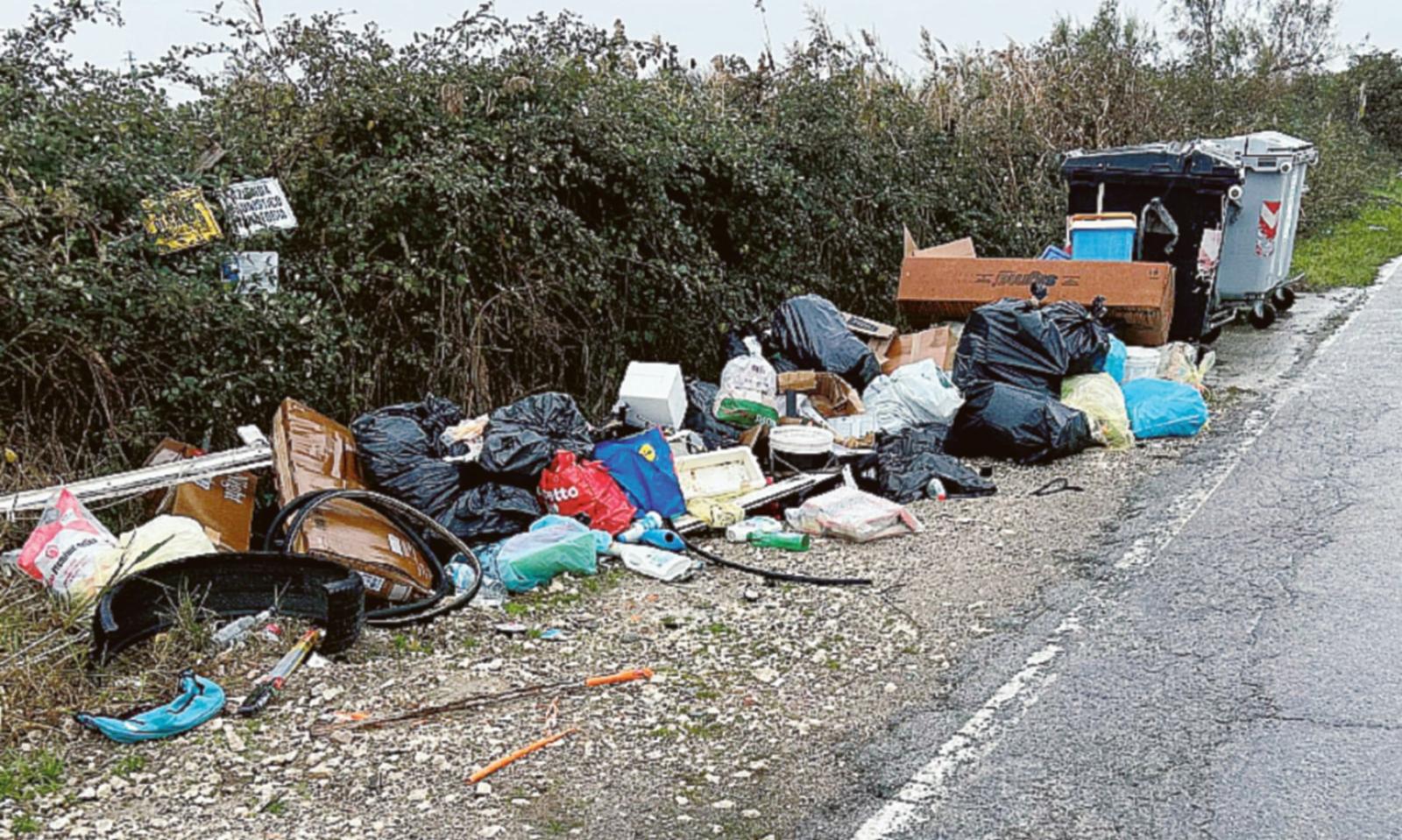 Comune, scontro sugli ecovandali