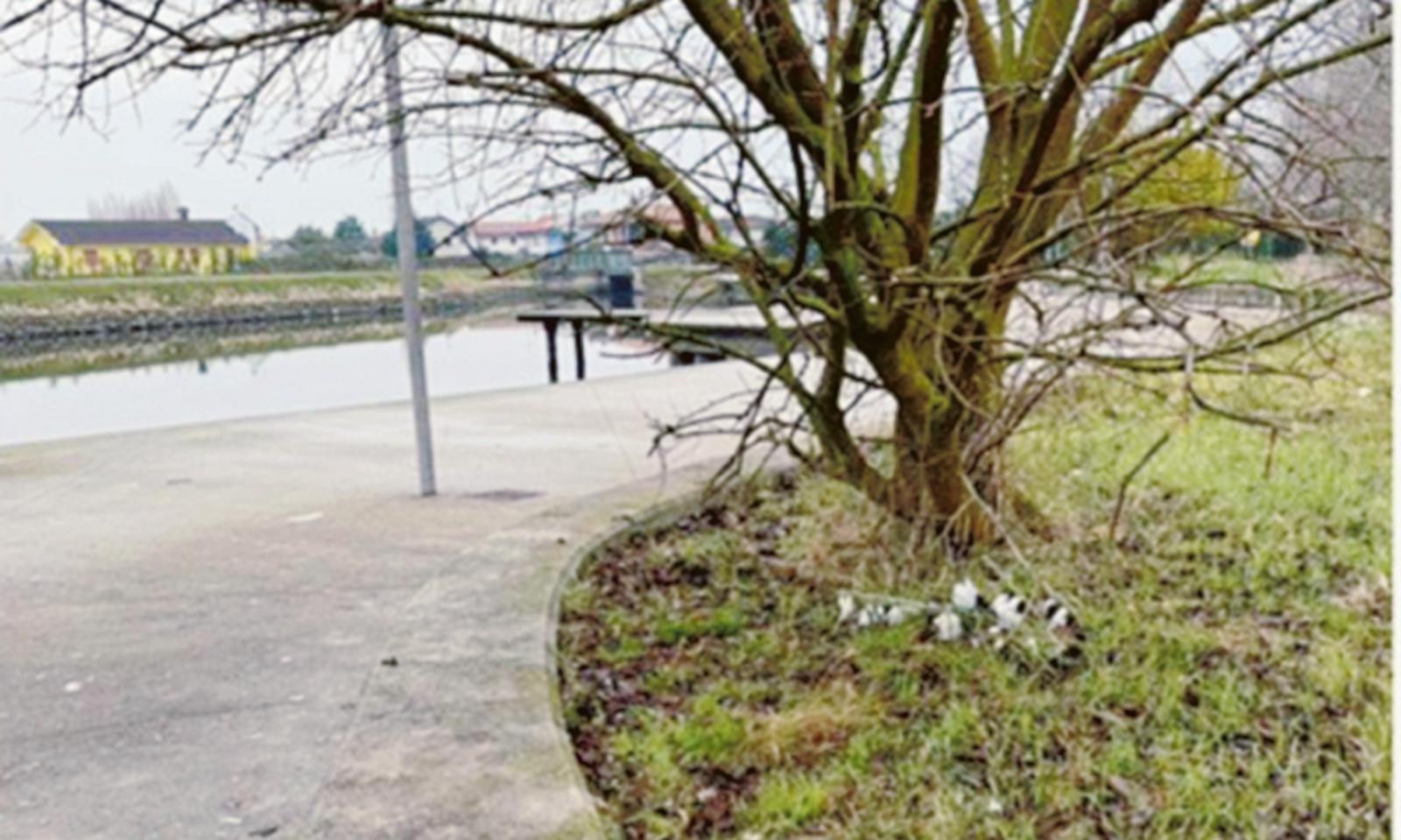 Rifiuti rimossi a Porto Levante