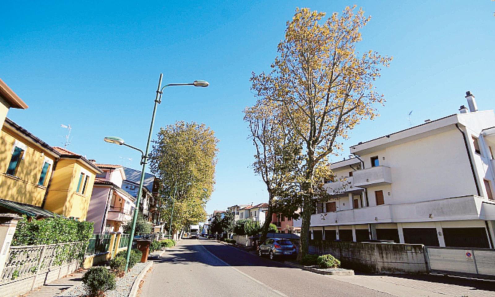 &ldquo;Si piantino alberi partendo dai nostri viali&rdquo; 