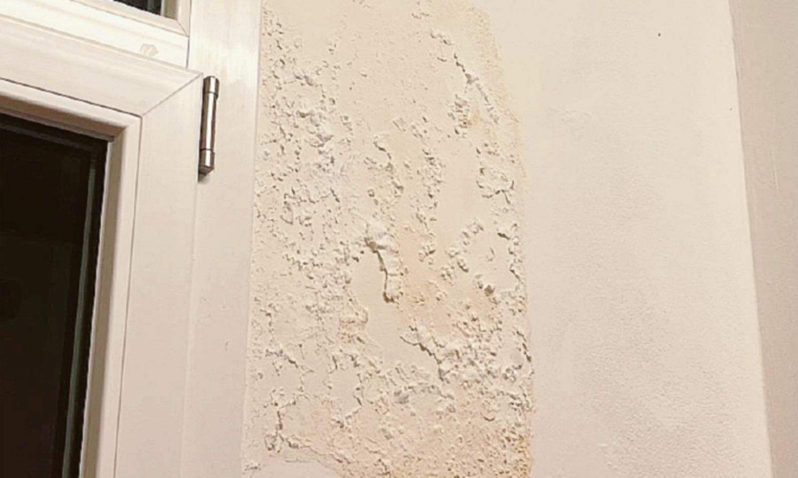 C&rsquo;&egrave; la muffa nel reparto 