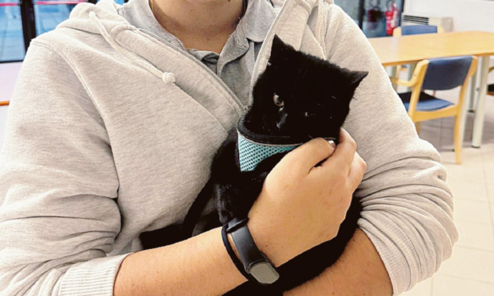 Sono vere &ldquo;fusa di benessere&rdquo;