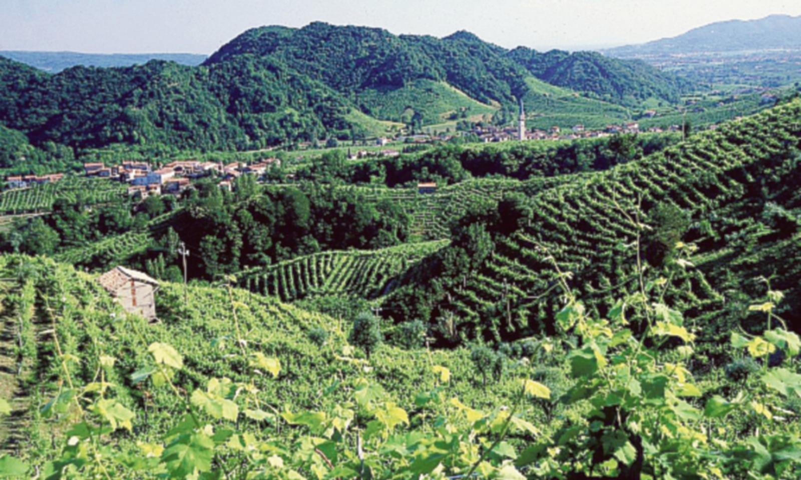 Il Crab prepara una visita nel Trevigiano 
