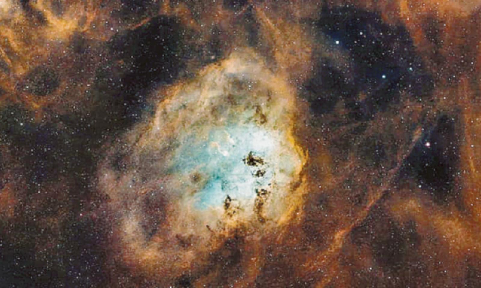 Dal giardino fotografa le stelle