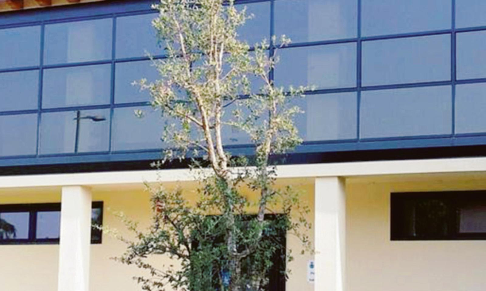 Due appuntamenti per ricordare l&rsquo;orrore