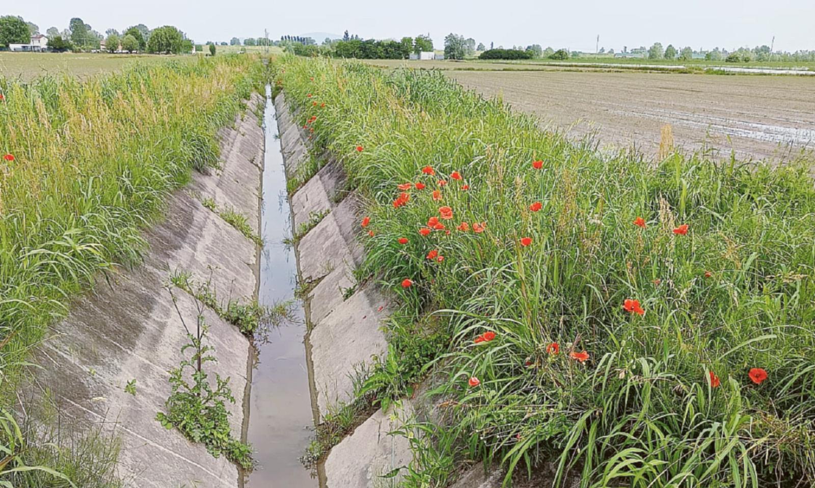 5 milioni per migliorare i canali