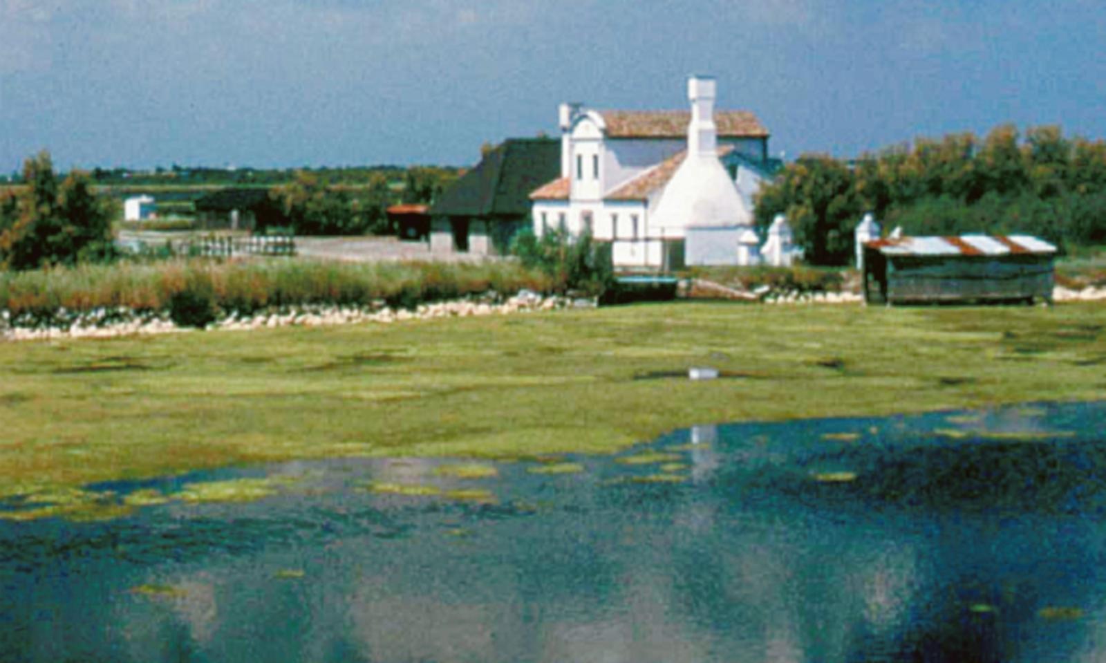 &ldquo;Serve un cambio di guida&rdquo;