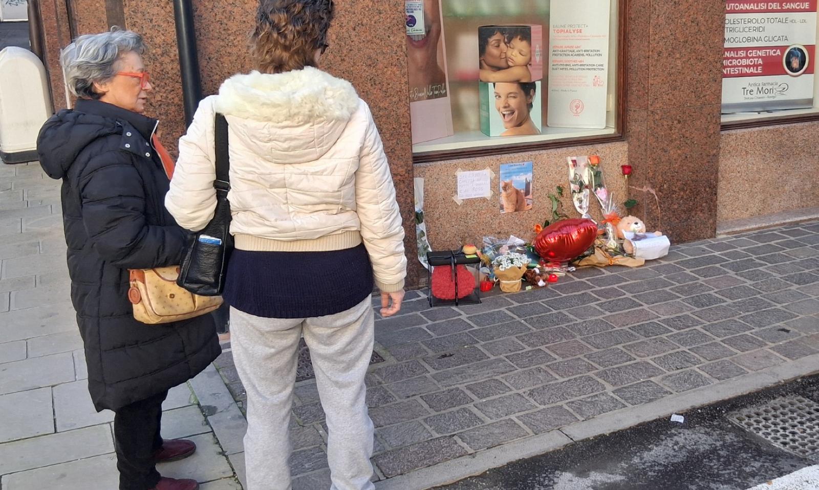 Gatto Rossini come una rockstar