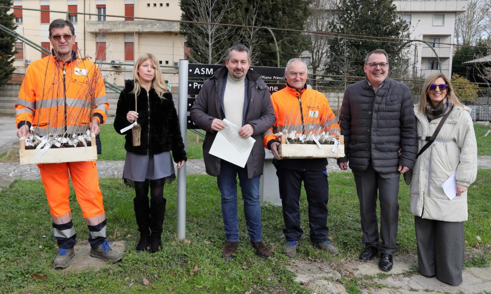 Le piante arrivano nelle case