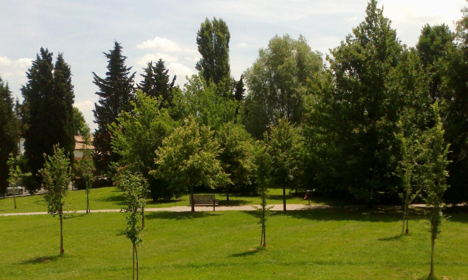 Un grande anello, tutto verde