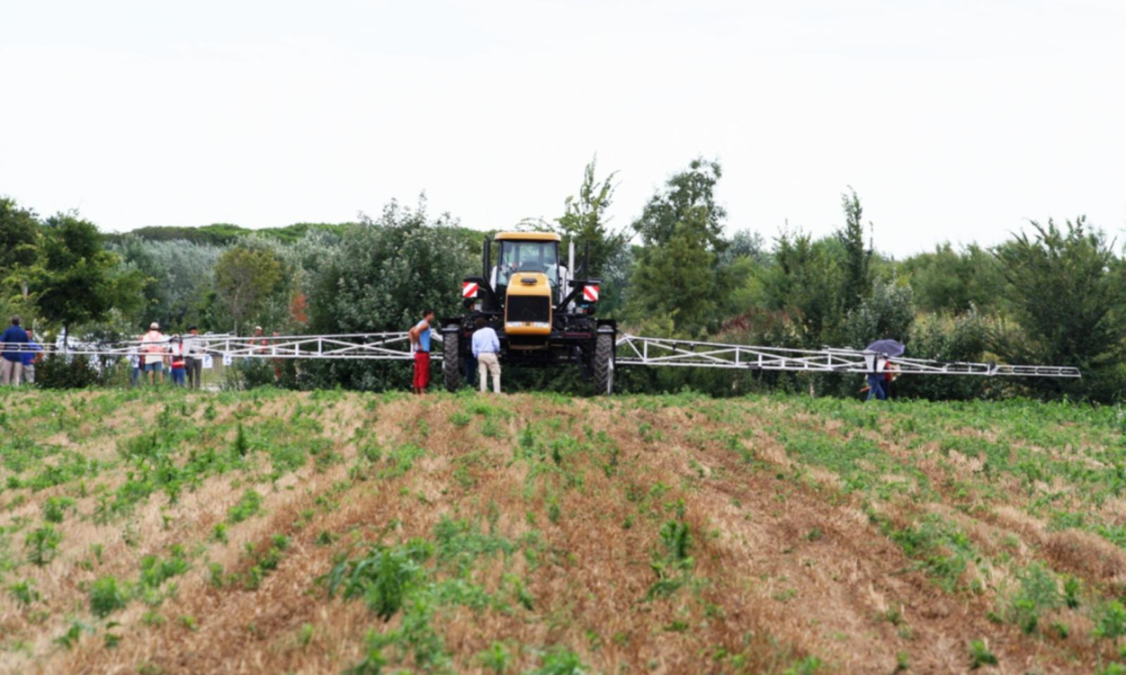 La sicurezza scende in campo