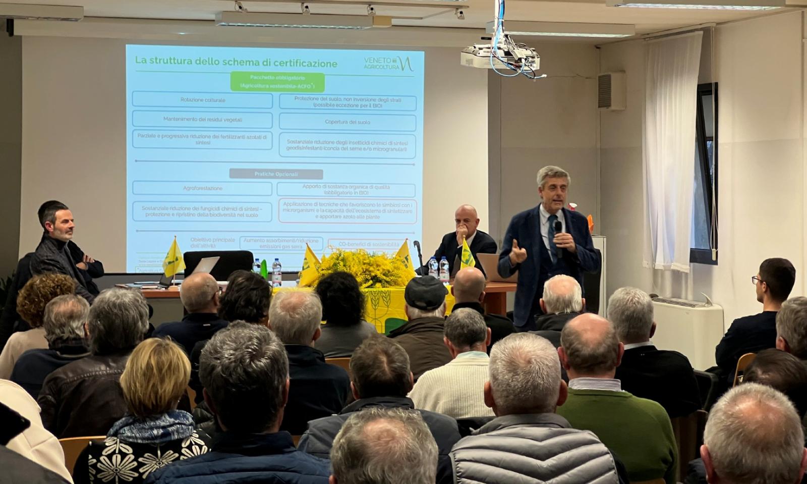 I crediti di carbonio 