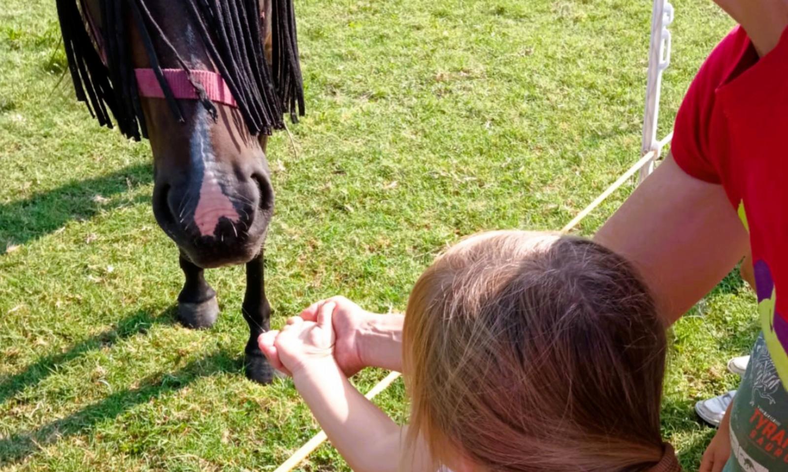Coldiretti medaglia d&rsquo;oro di inclusione 