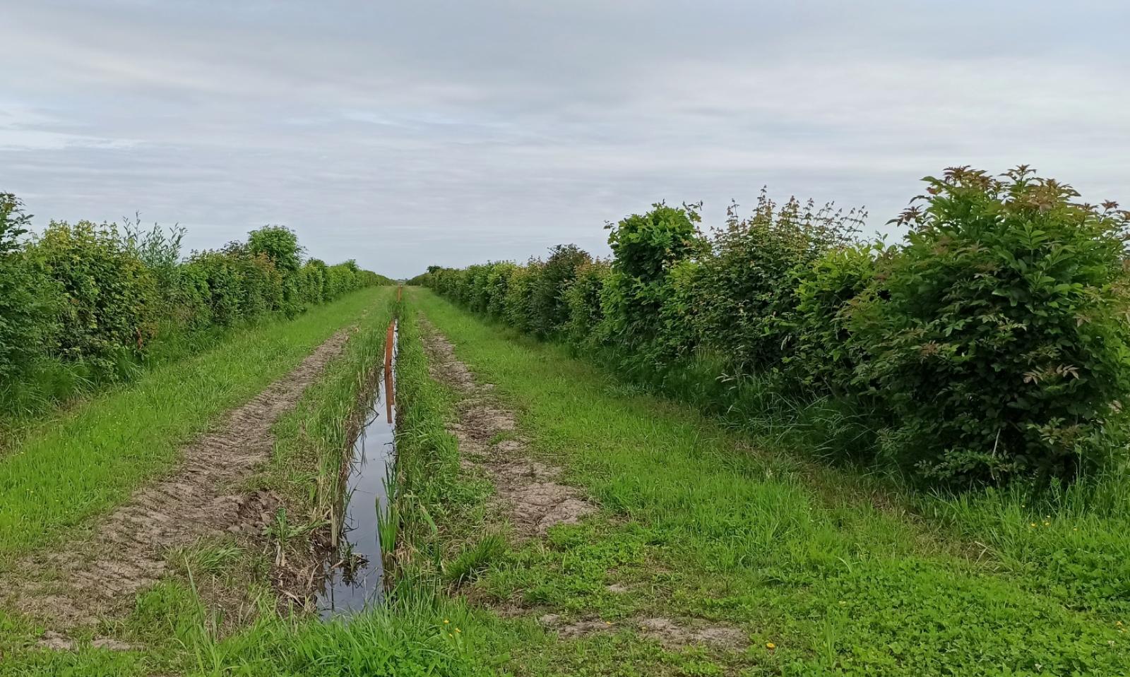 Polesine laboratorio di biodiversit&agrave;