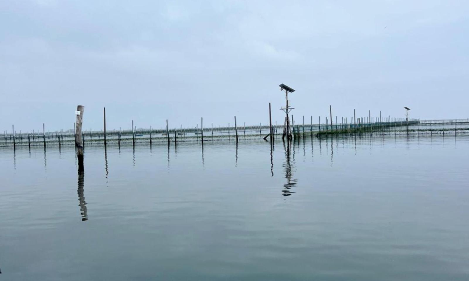 I recinti anti granchio resistono anche al maltempo