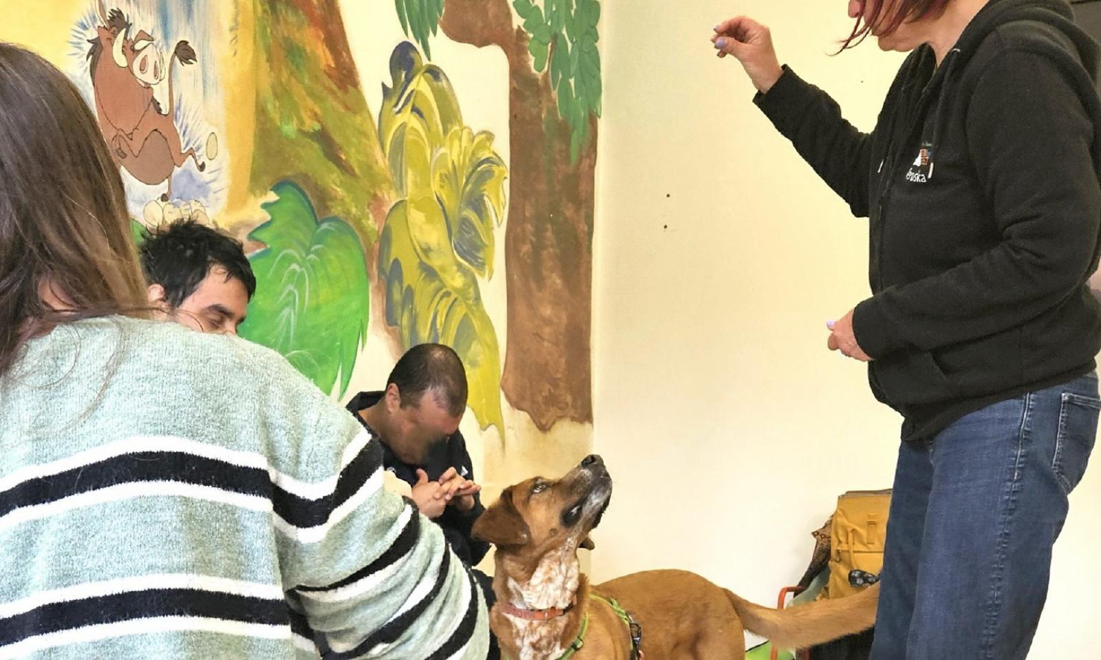 Gli animali contro l&rsquo;autismo