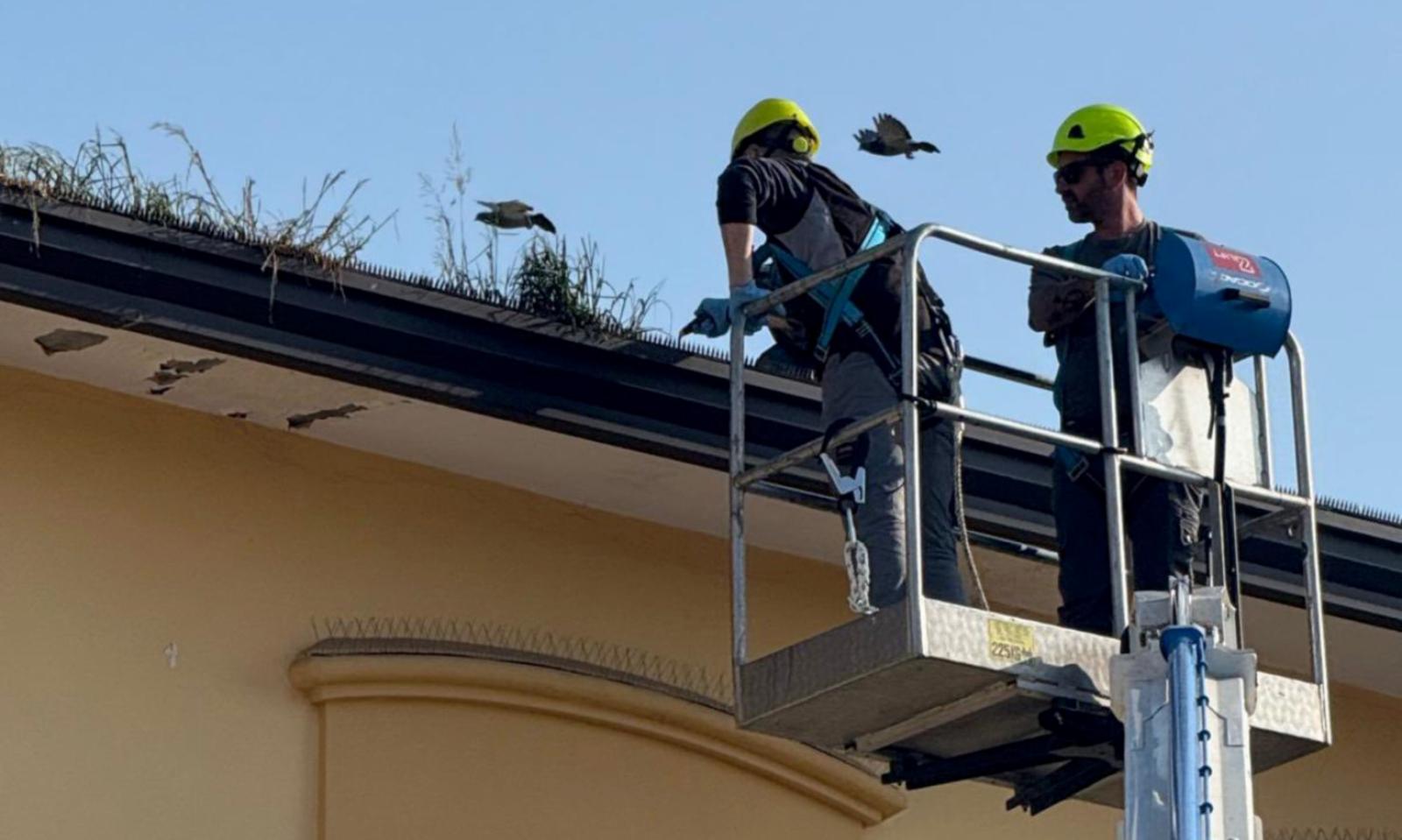 Grondaie, scatta la pulizia