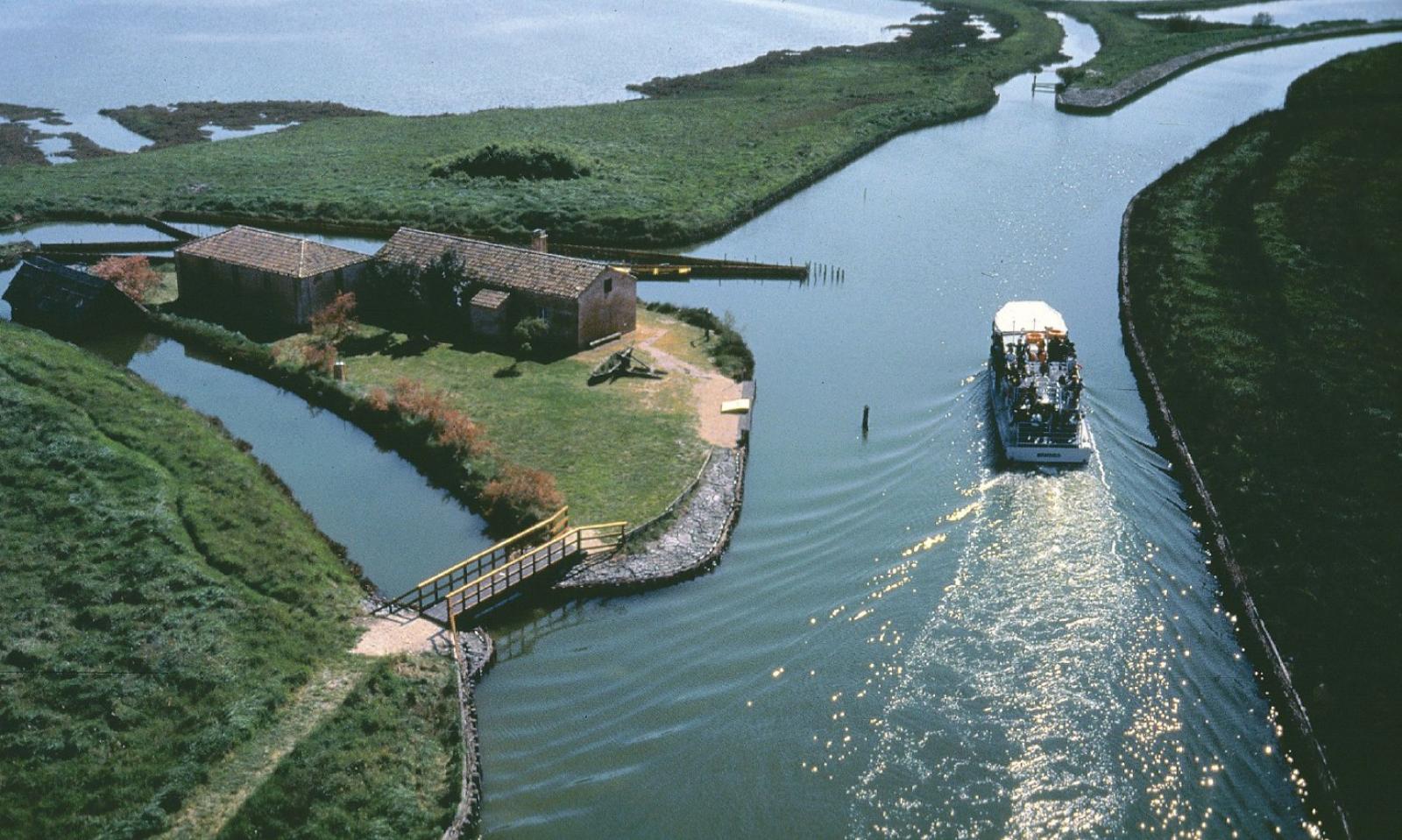 Arriva il business green&rdquo; 