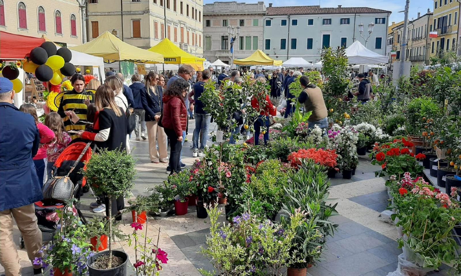 Un ricco calendario per &ldquo;Adria in fiore&rdquo;