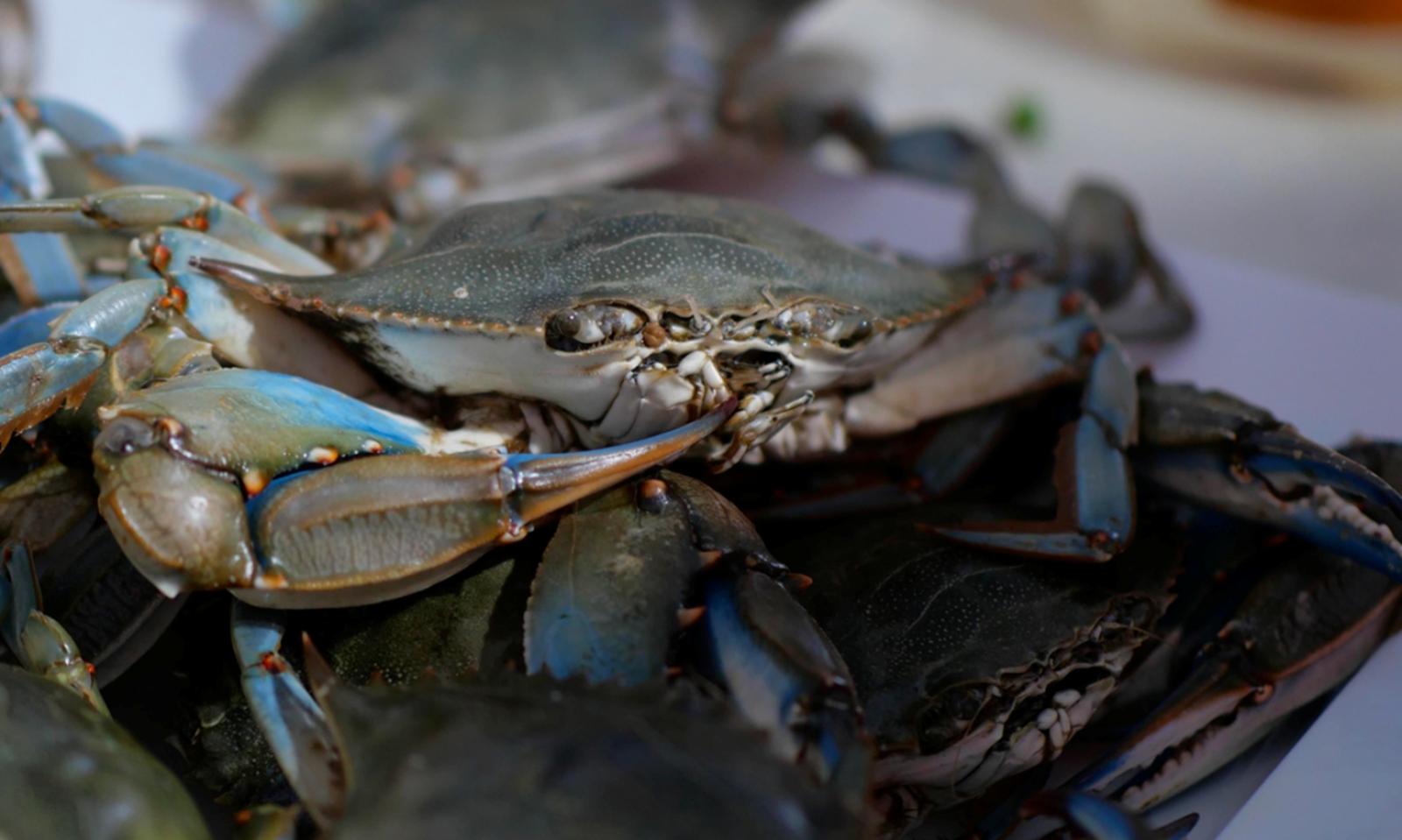Troppi costi, la filiera non funziona