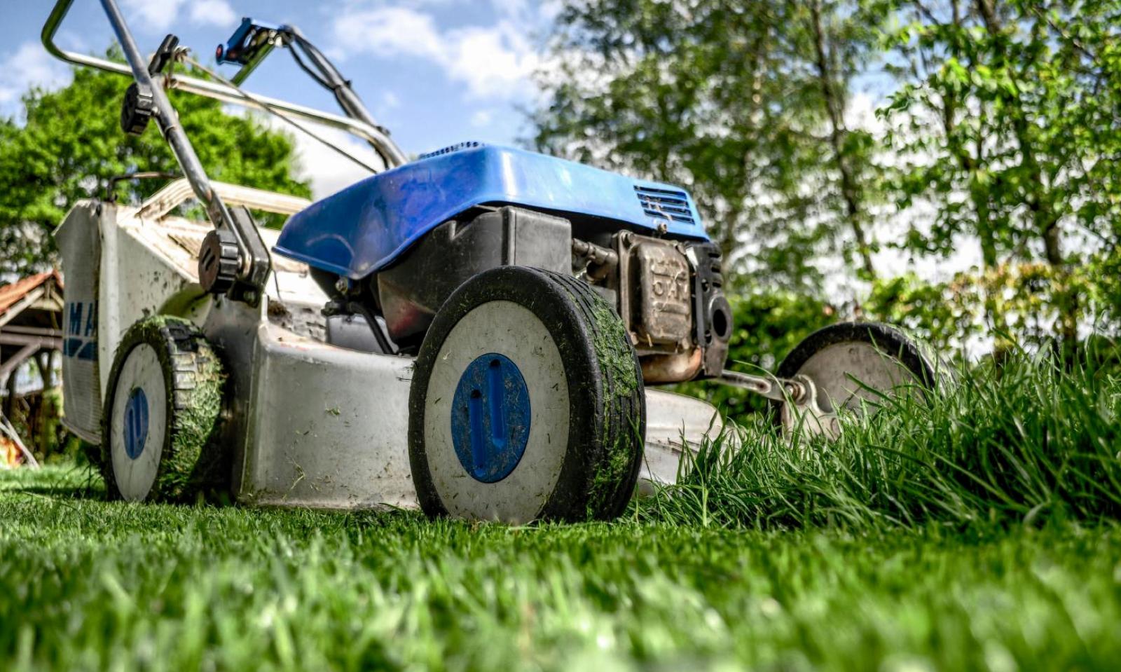 Verde, pulizie di primavera
