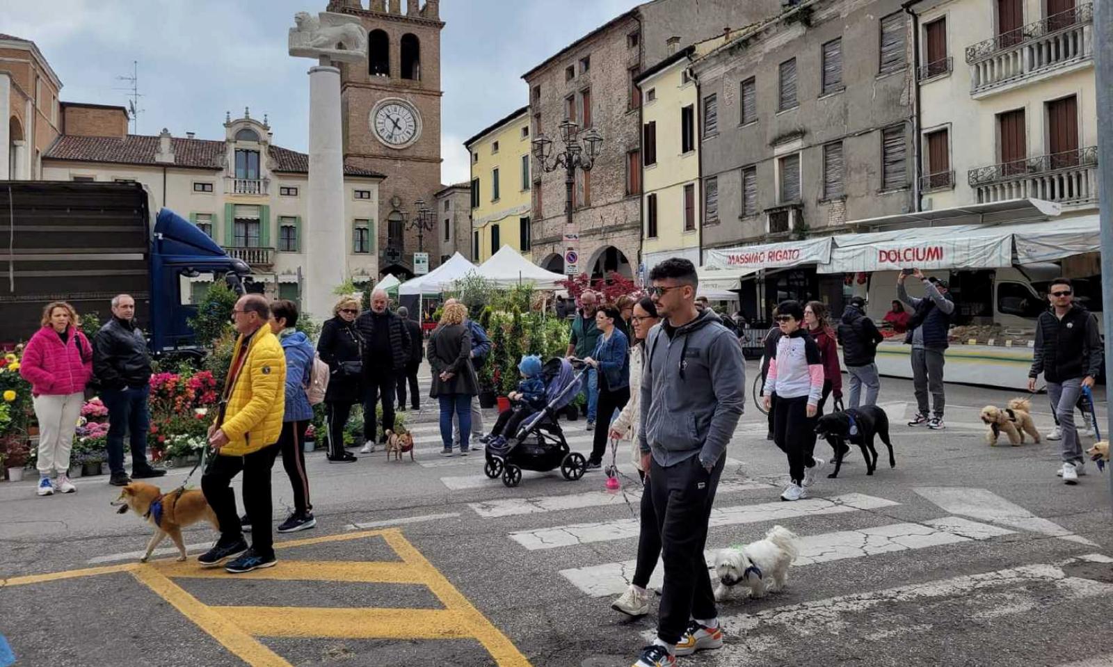 Una camminata a... sei zampe