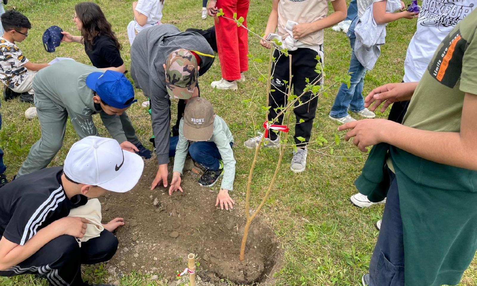 Primi &ldquo;mattoncini&rdquo; per la &ldquo;foresta di comunit&agrave;&rdquo;