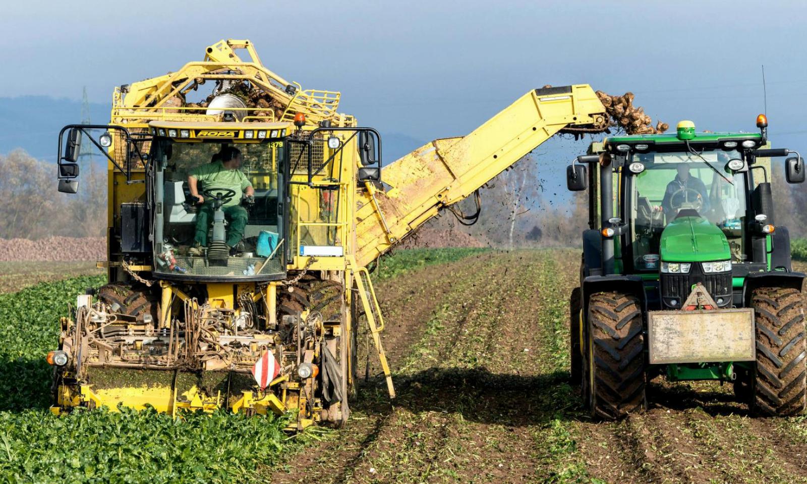 Crisi zucchero, via al ricollocamento
