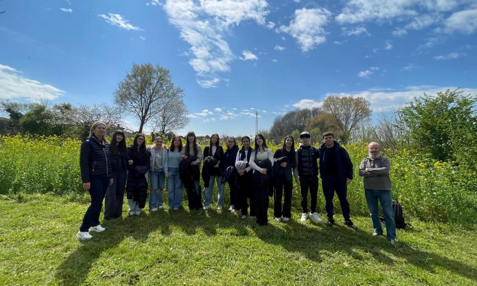 Api, esempio di cooperazione