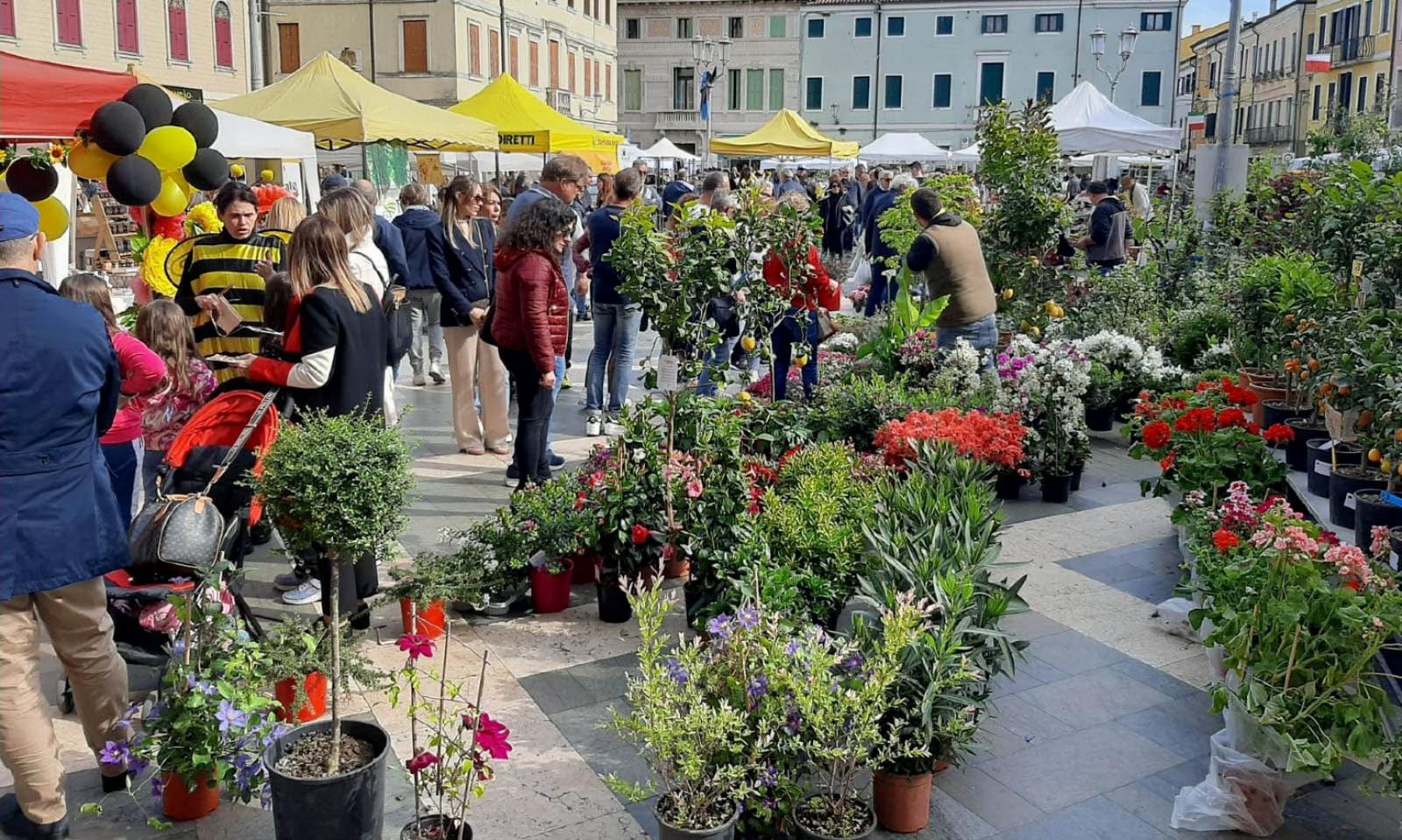 La citt&agrave; si prepara a fiorire sar&agrave; una giornata speciale