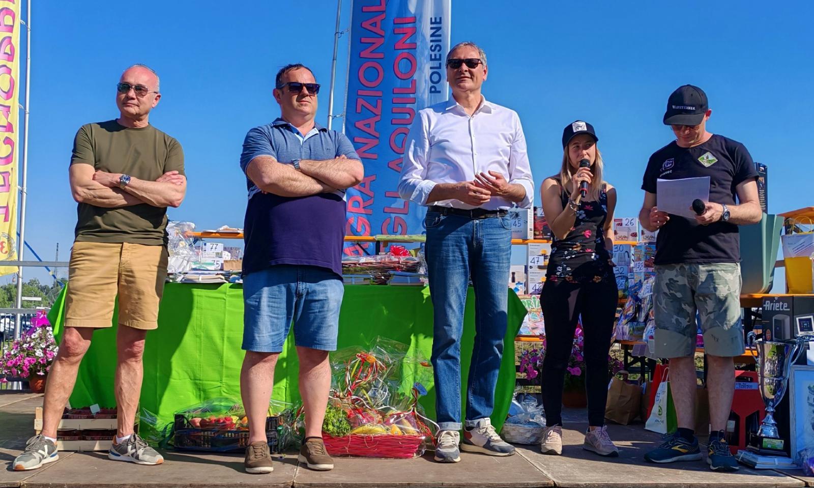 Gli aquiloni illuminano il cielo