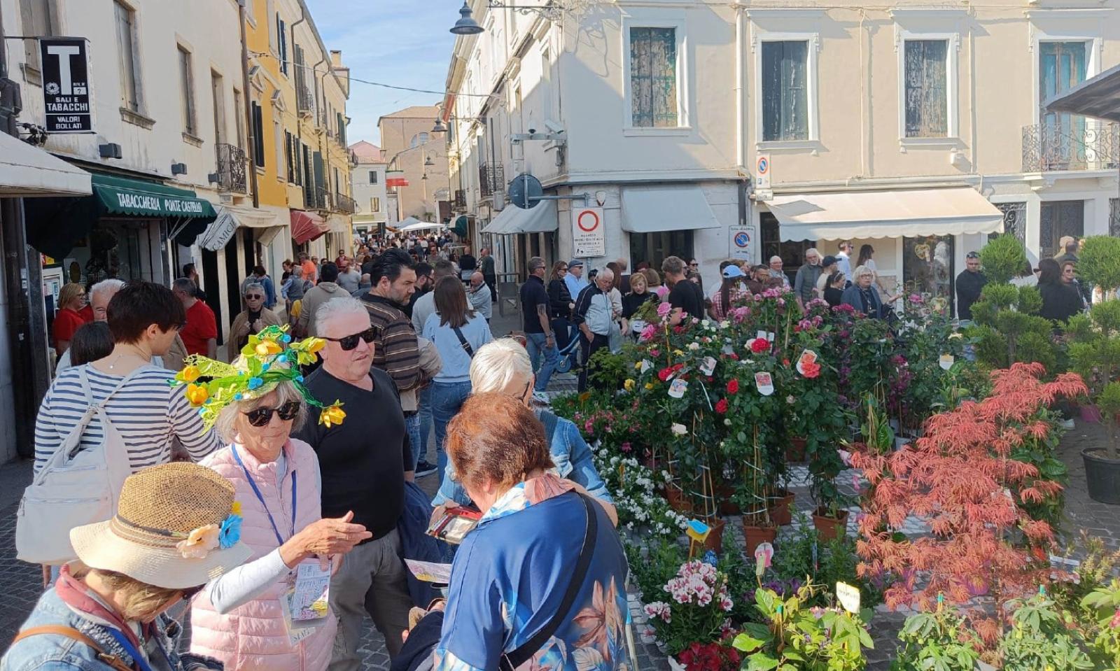 &ldquo;Adria in fiore&rdquo; pronta a sbocciare