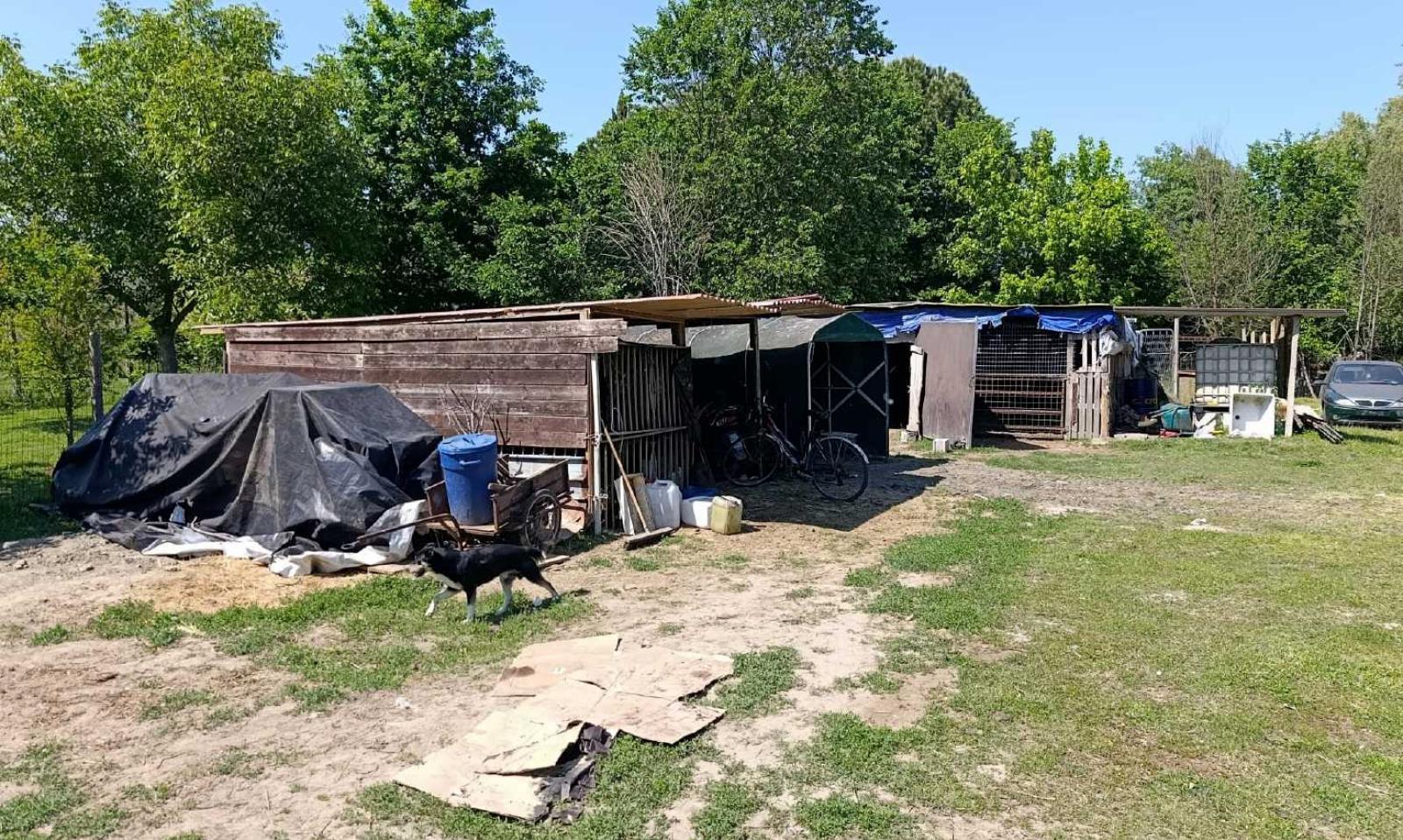 &ldquo;Noi tra baracche e teli improvvisati&rdquo;