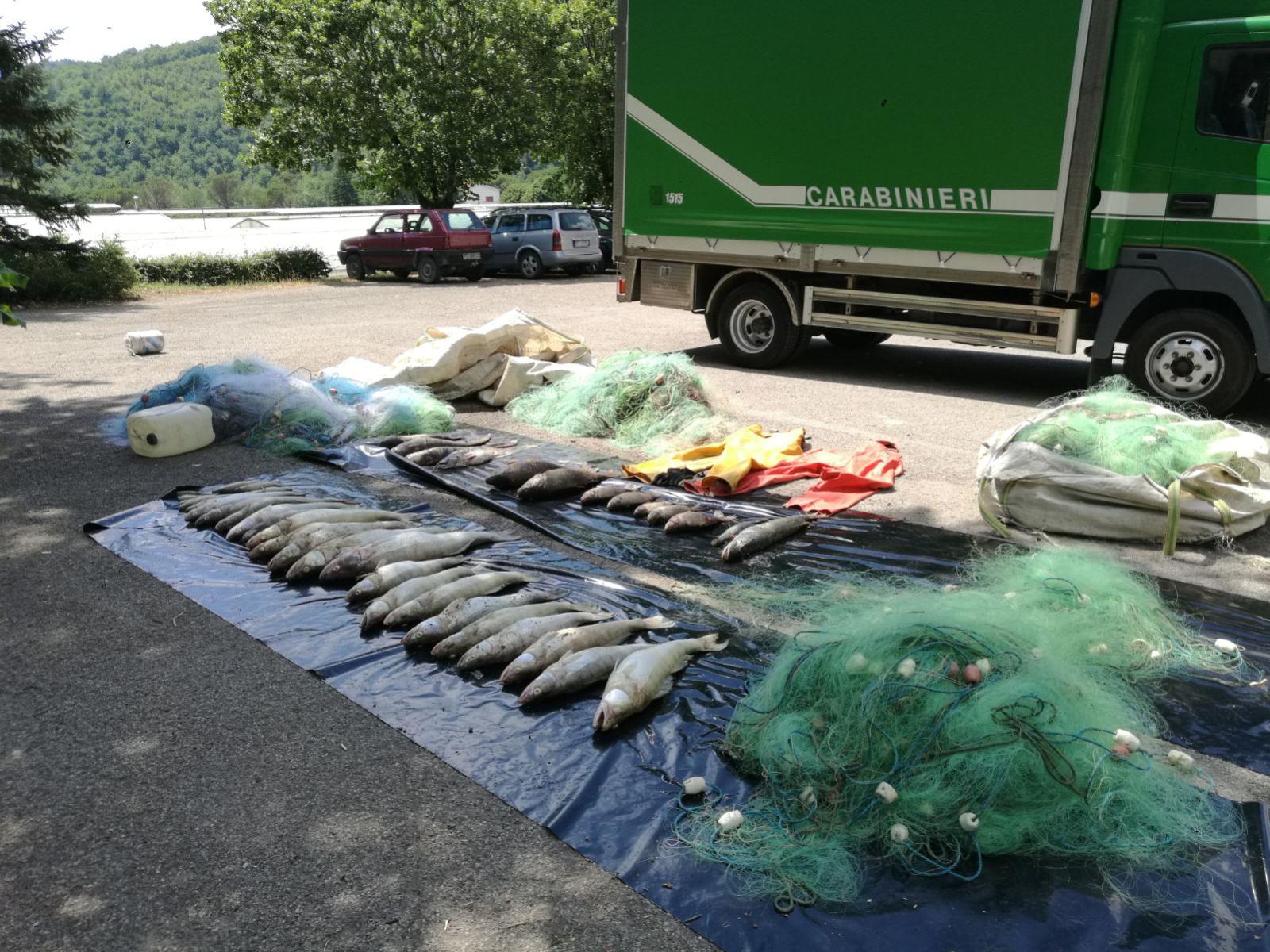 2017-07-14-PHOTO-00000019