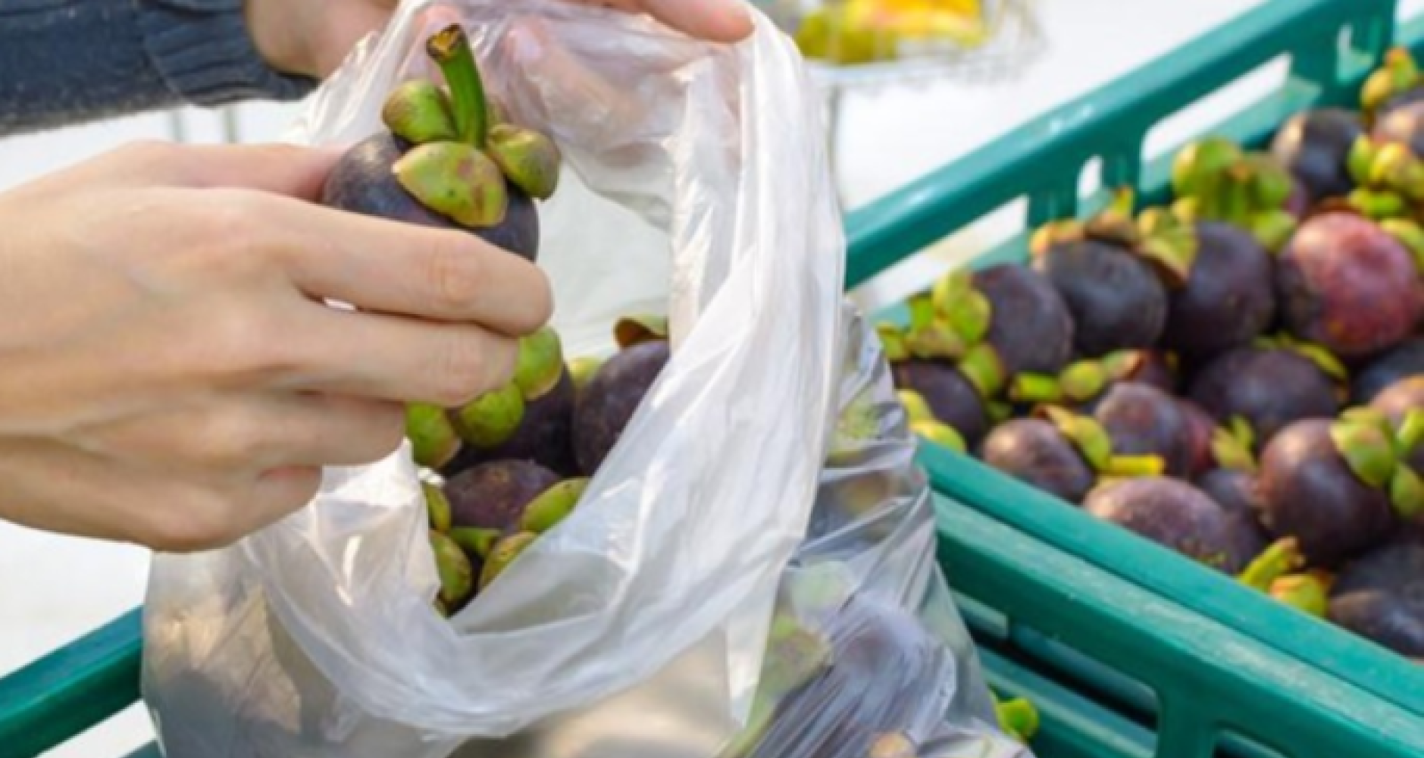 Spesa a domicilio per gli anziani anche a Occhiobello