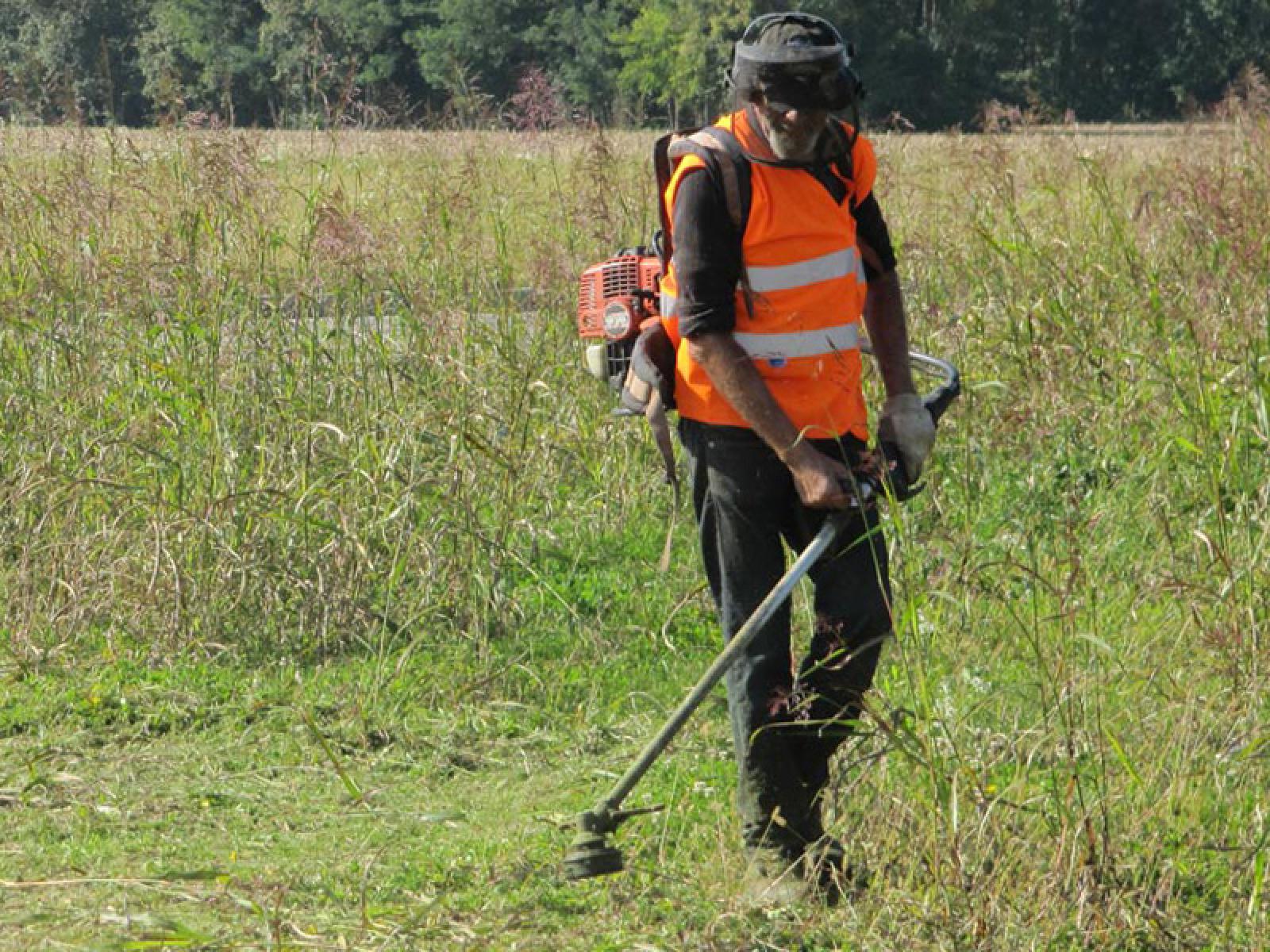 &ldquo;Lo sfalcio dell'erba sar&agrave; affidato alle frazioni" 
