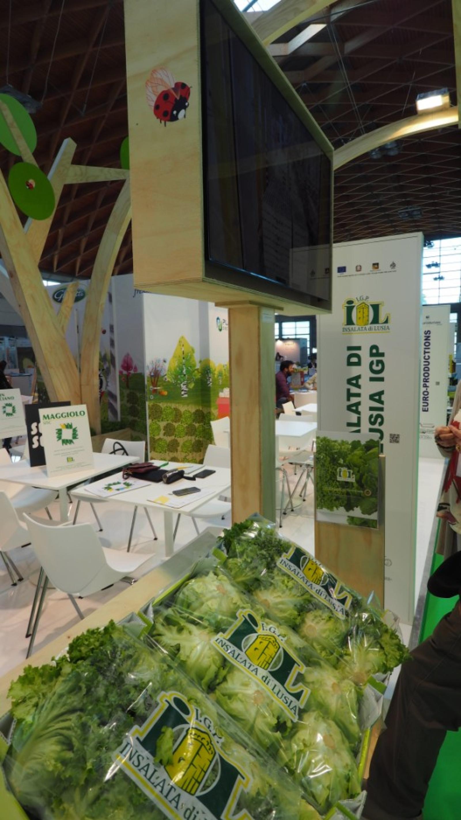 mercato di lusia e insalata a macfrut di rimini (1)