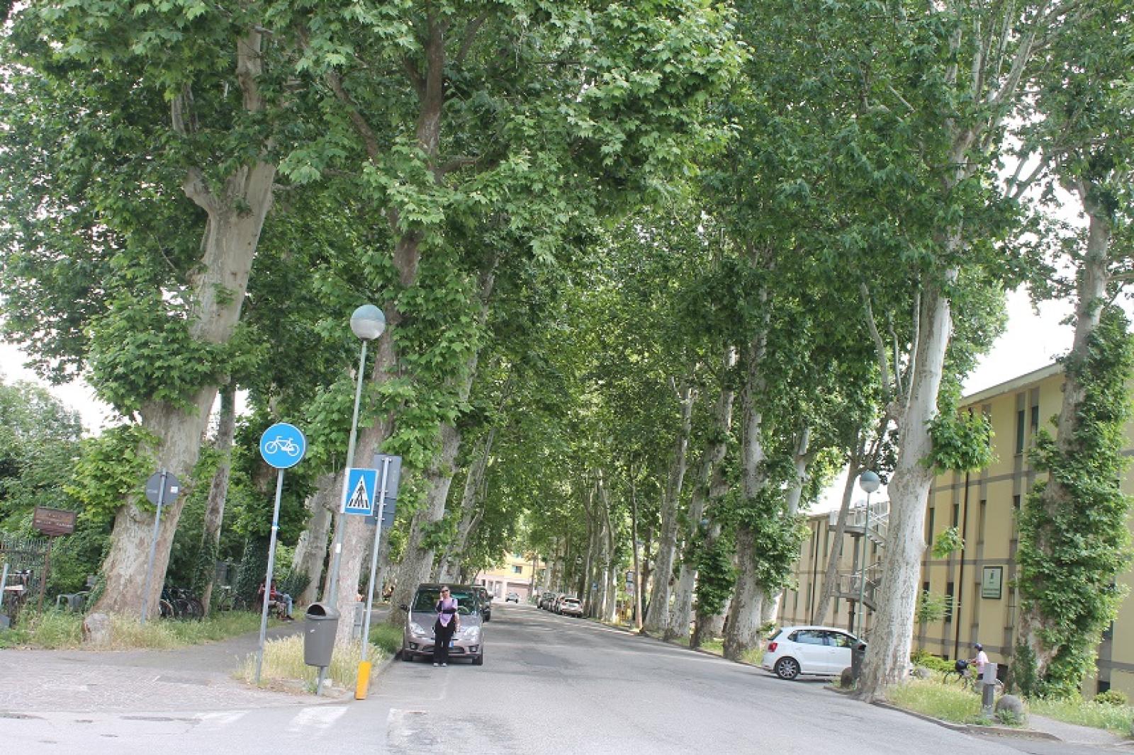 Viale Marconi potrebbe tornare a doppio senso