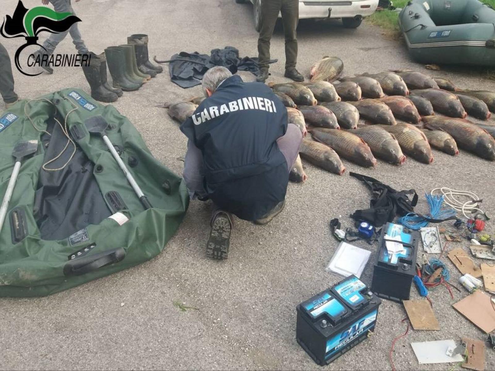 bracconaggio ittico1