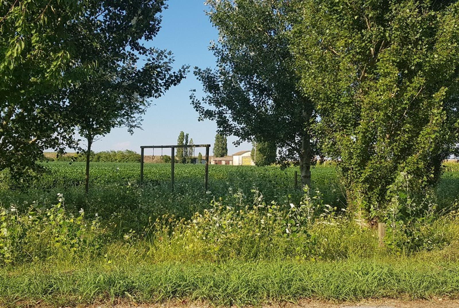 "A Porto Tolle non si fa nulla per le zanzare?"