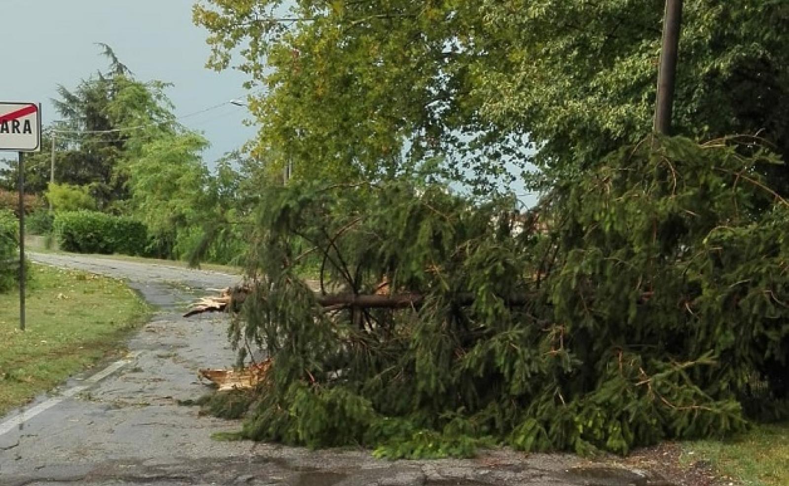 In arrivo venti forti, il Delta ha paura