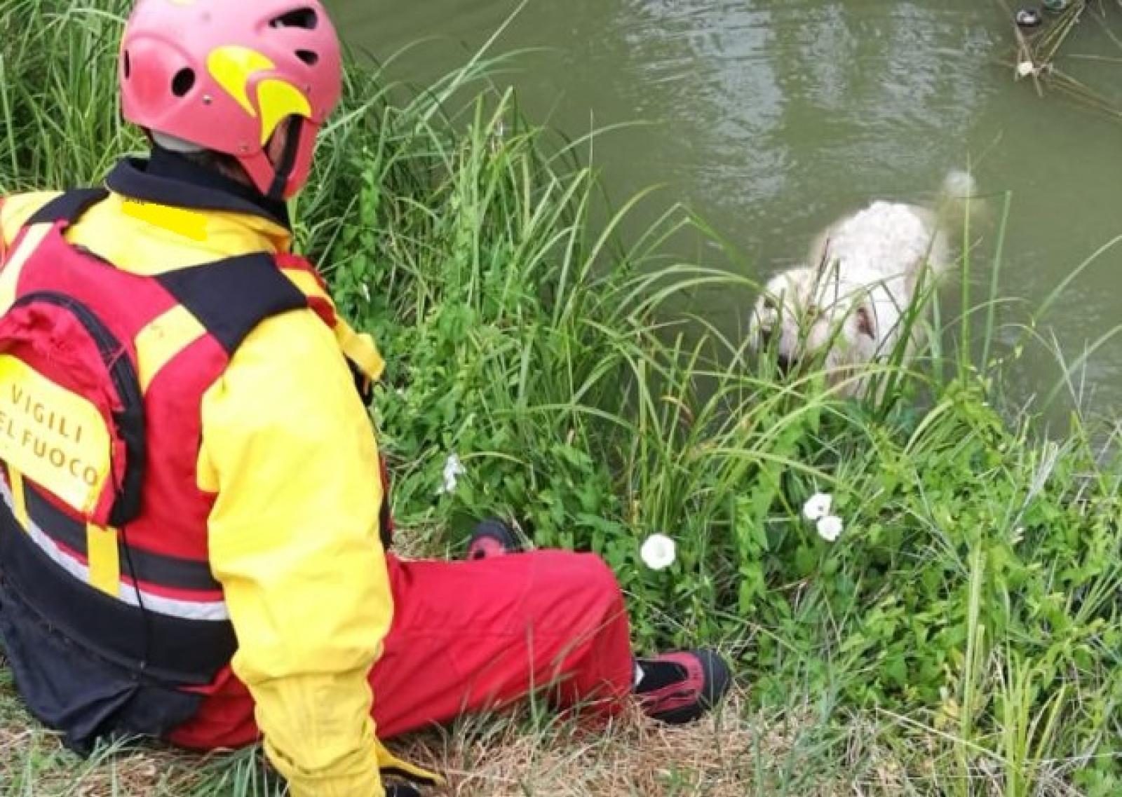 Disabile finisce in canale, salvato dai vigili del fuoco